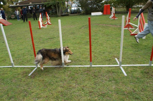 agility 2011-10-30